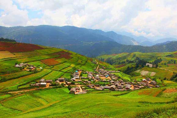 ���ߌ���·����S�l(f��)���ǻ��r�I(y��)+�ǻ�������һ�w������ģʽ