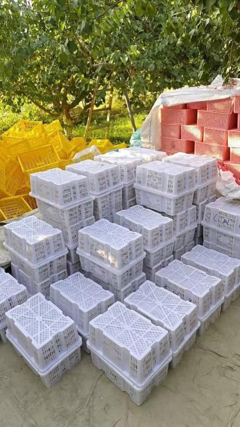 �°���f��ͨ���g·�����ӡ������½��w��ȫ��